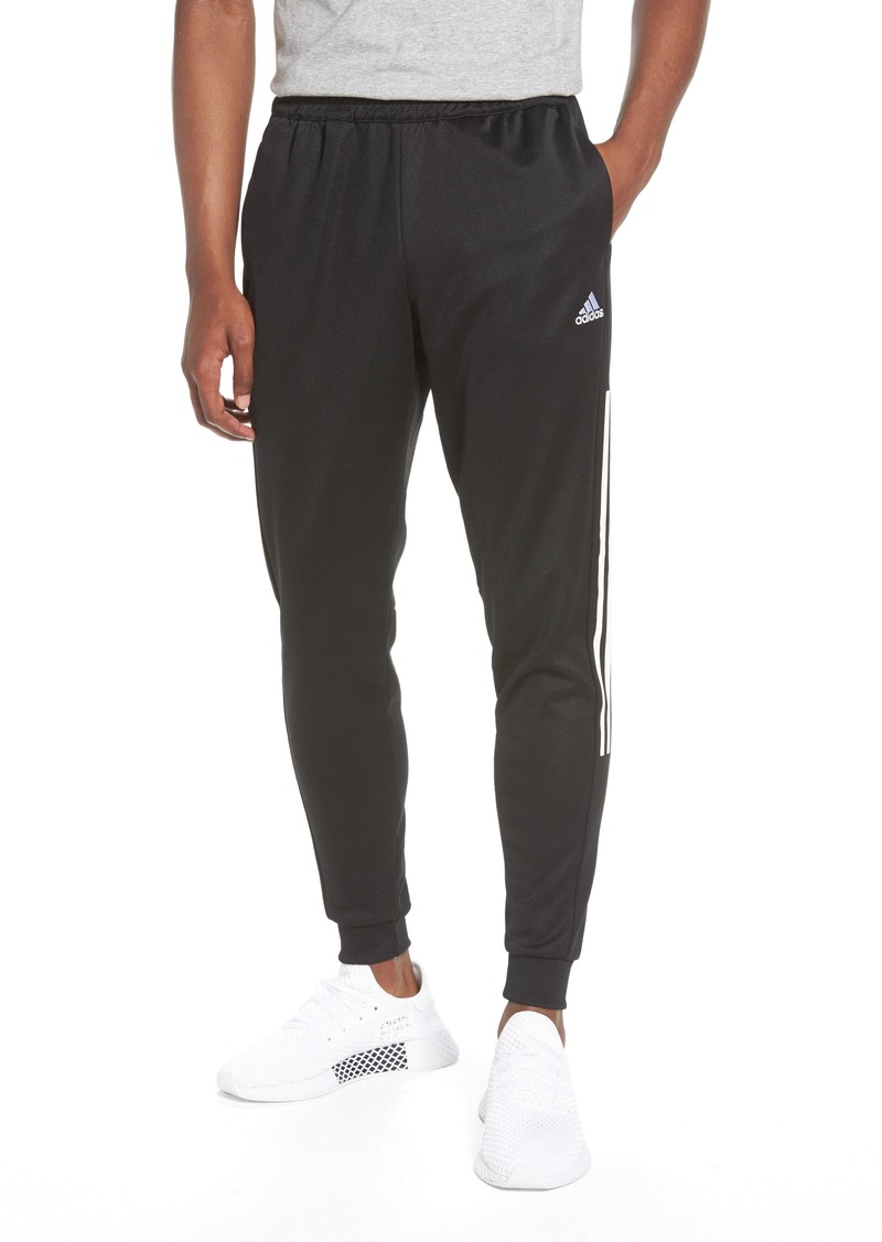 regular fit sweatpants