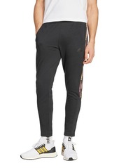 ADIDAS SPORTSWEAR Tiro Q2 Pants