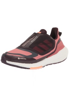 adidas Women's Ultraboost 22 GTX Running Shoe