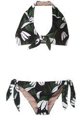 Adriana Degreas printed halter neck bikini set