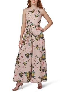 Adrianna Papell Floral Sleeveless Organza Jumpsuit in Blush Multi at Nordstrom