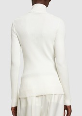 Alberta Ferretti Viscose Blend Knit Turtleneck Sweater