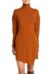 A.L.C. Virgo Turtleneck Sweater Dress