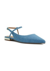 ALDO Sarine Ankle Strap Pointed Toe Flat