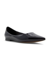 ALDO Stessy Pointed Toe Flat