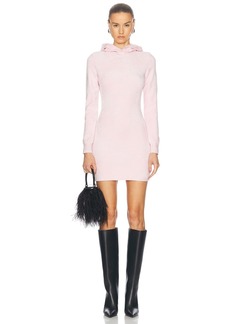 Alexander Wang Hoodie Mini Dress