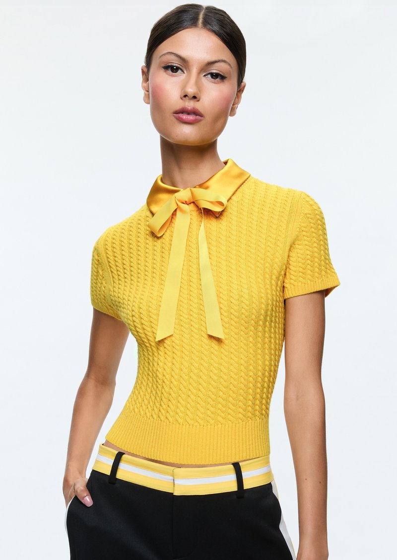 alice + olivia ABBOTT SHORT SLEEVE PULLOVER WITH WOVEN COLLAR