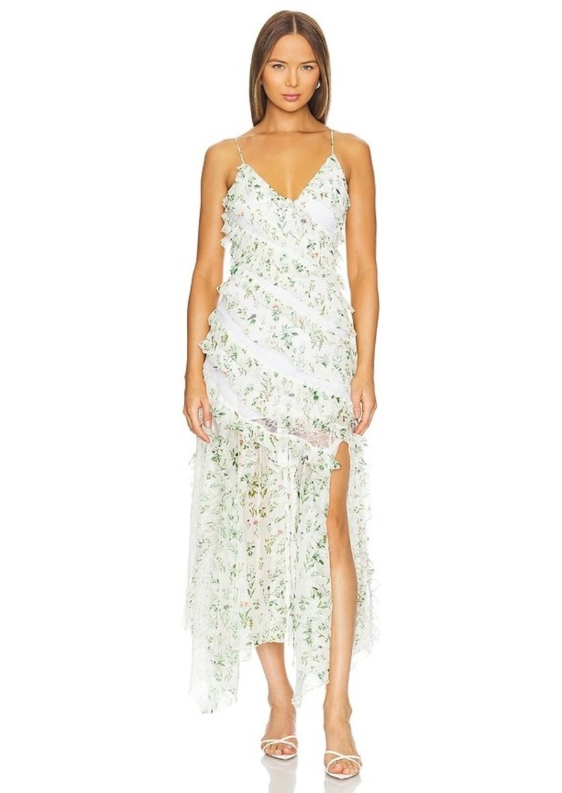 Alice + Olivia Sondral Maxi Dress