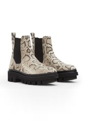 AllSaints Bea Snake Embossed Print Chelsea Boot in Taupe Grey at Nordstrom