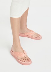 Ancient Greek Sandals Charisma Comfort Terry Flip Flops
