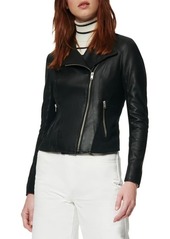 Andrew Marc Felix Leather Moto Jacket with Knit Panels in Black at Nordstrom