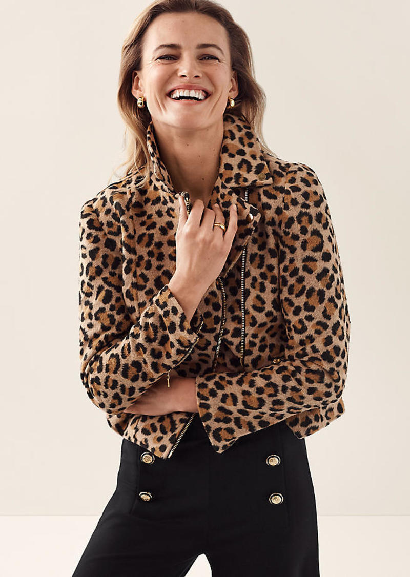 Ann Taylor Animal Print Moto Jacket