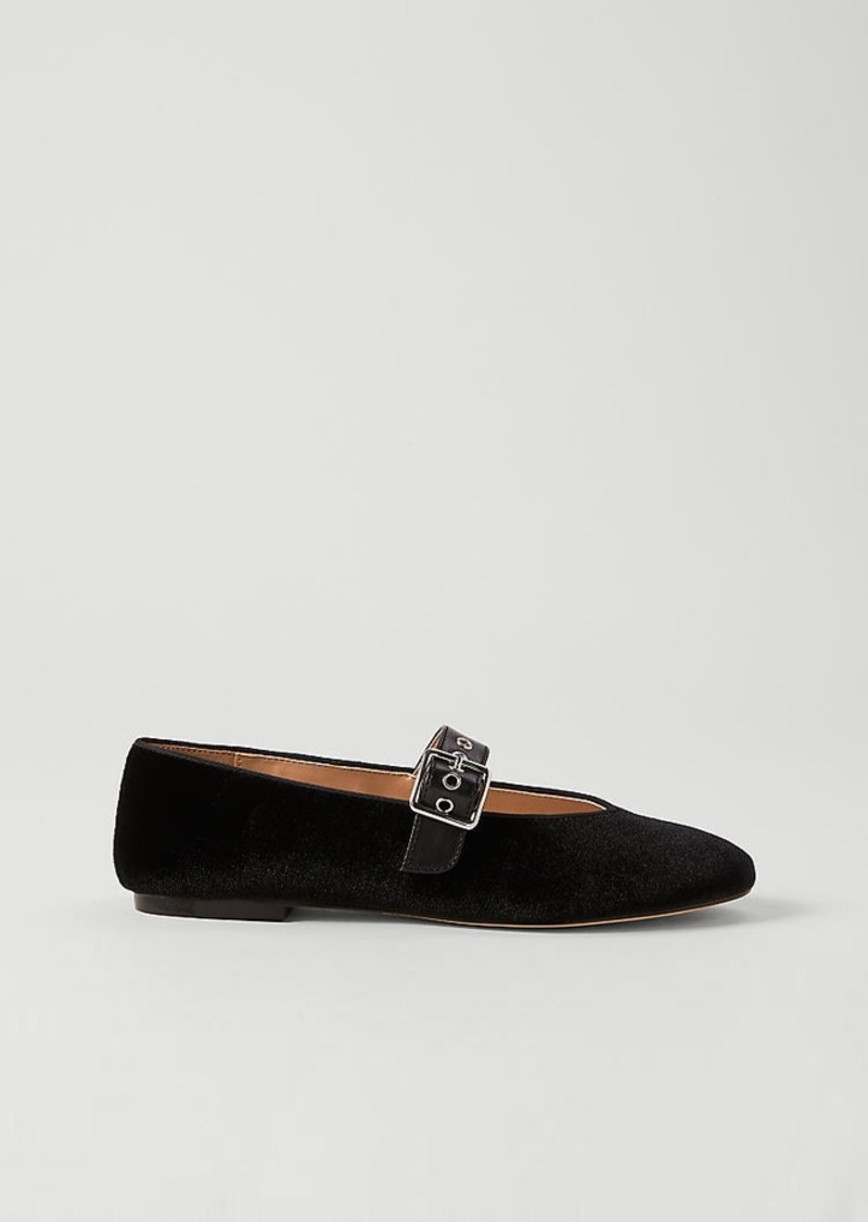 Ann Taylor Buckle Mary Jane Velvet Flat