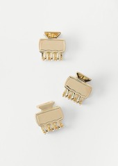 Ann Taylor Metal Mini Clip Pack