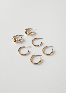 Ann Taylor Modern Hoop Earring Set