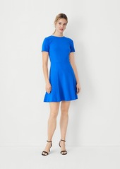 Ann Taylor Paneled Flare Dress