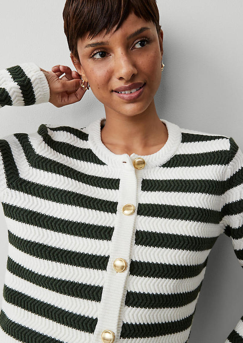 Ann Taylor Petite Striped Stitched Jacket