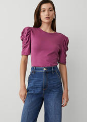 Ann Taylor Petite Shirred Elbow Sleeve Top