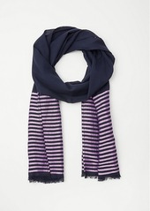 Ann Taylor Satin Striped Scarf