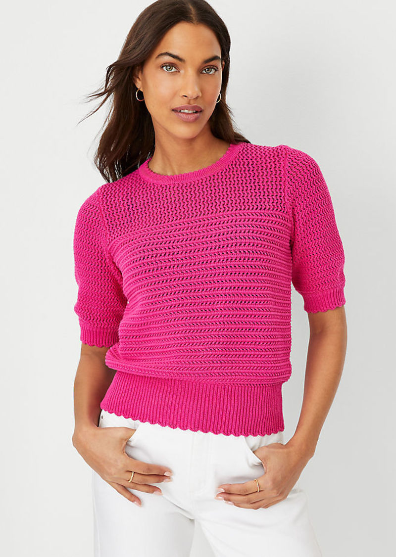 Ann Taylor Scalloped Mixed Stitch Sweater