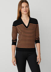 Ann Taylor Stripe V-Neck Sweater