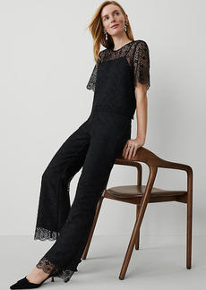 Ann Taylor The Flare Pant in Lace