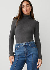 Ann Taylor Turtleneck Top