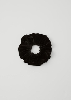 Ann Taylor Velvet Oversized Scrunchie