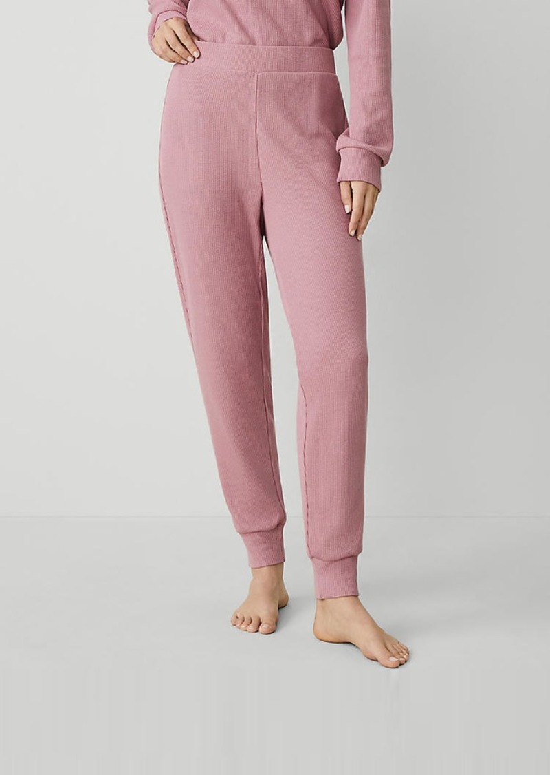 Ann Taylor Waffle Lounge Jogger