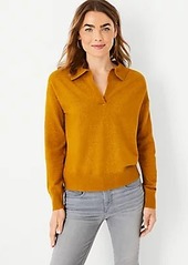 Ann Taylor Collared V-Neck Sweater
