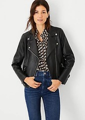 Ann Taylor Pebbled Faux Leather Moto Jacket
