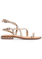 Ash Petra studded leather sandals