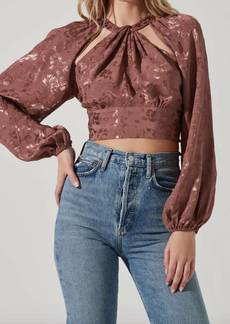 ASTR Betsy Floral Cutout Long Sleeve Top In Brown Jacquard