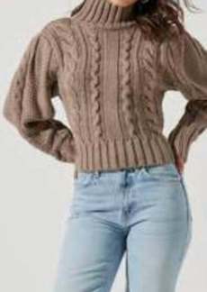 ASTR Sweater In Brown