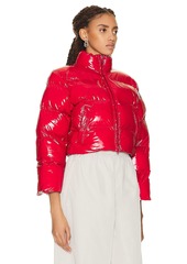 Balenciaga Shrunk Puffer Jacket