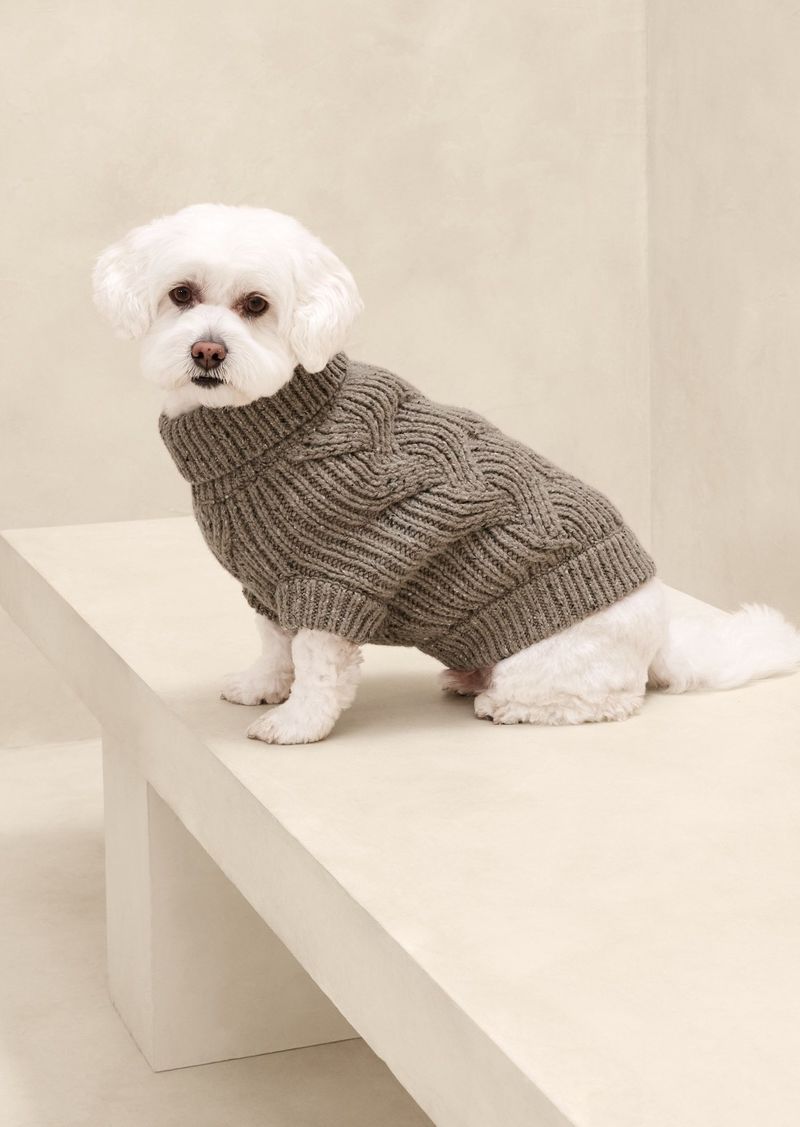 Banana Republic Oliver Cable-Knit Dog Sweater