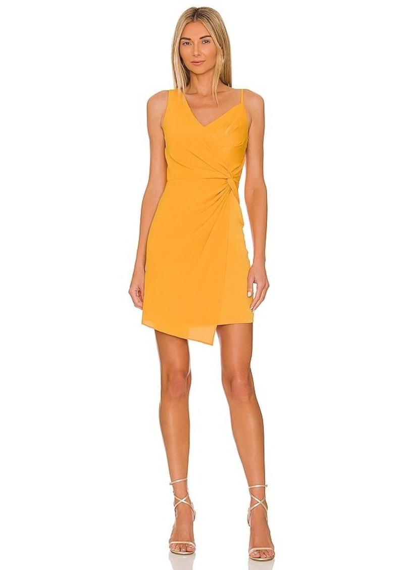 BCBG Max Azria BCBGMAXAZRIA Cinched Mini Dress