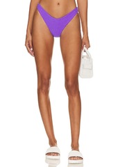 BEACH RIOT Vanessa Bikini Bottom