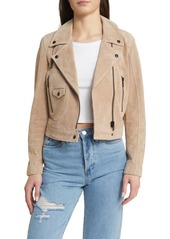 BLANKNYC Suede Moto Jacket