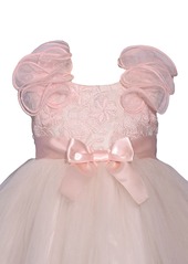 Bonnie Baby Baby Girls Sleeveless Sparkle Embroidery to Mesh Ballerina Dress - BLS
