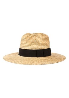 Brixton Joanna Straw Hat in Honey/black at Nordstrom