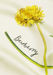 Burberry Dandelion Silk Scarf