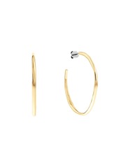 Calvin Klein Women's Stainless Steel Hoop Earrings - Gold-tone