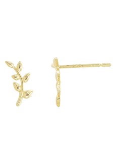 CANDELA JEWELRY 14K Gold Olive Branch Stud Earrings at Nordstrom Rack