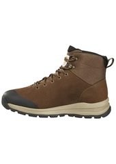 Carhartt Men's Outdoor WP 5" Alloy Toe Hiker Boot Hiking