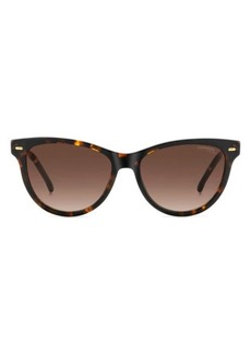 Carrera Eyewear 54mm Cat Eye Sunglasses