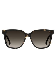 Carrera Eyewear 55mm Rectangular Sunglasses