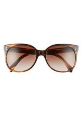CELINE 58mm Cat Eye Sunglasses in Havana/Brown at Nordstrom