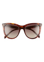 CELINE 53mm Gradient Cat Eye Sunglasses in Dark Havana/Brown at Nordstrom