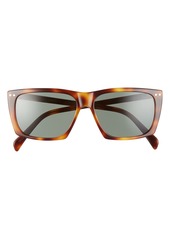 Women's Celine 56mm Square Sunglasses - Blonde Havana/ Green